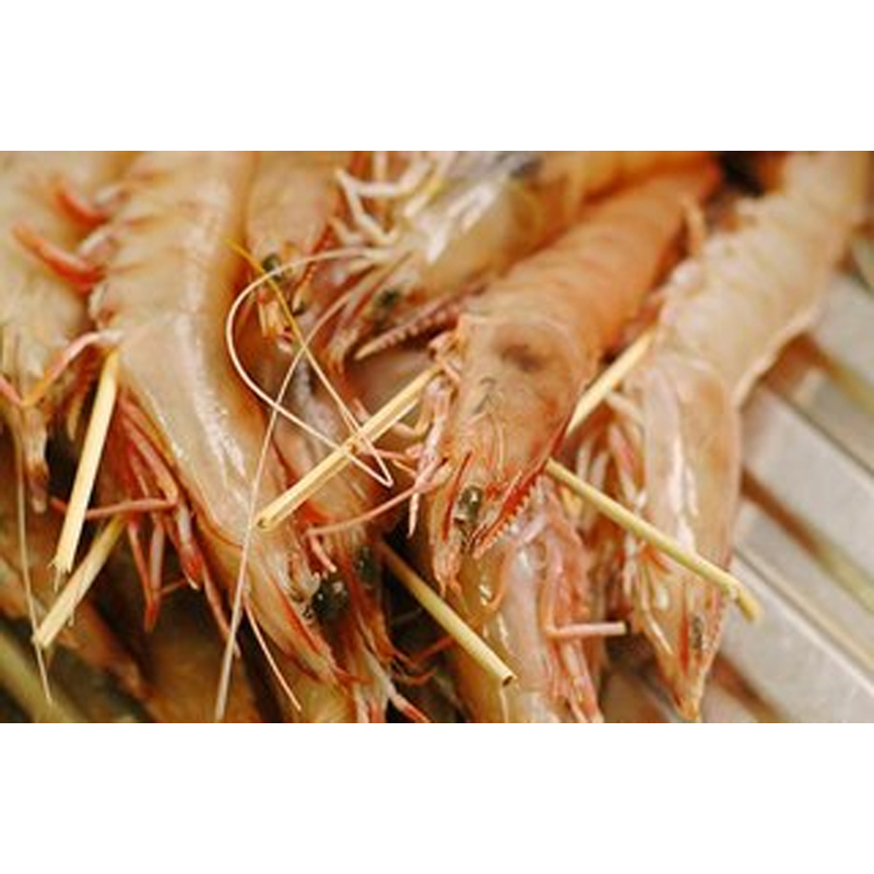 Prawn in Skewer (10 sticks)